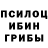 Псилоцибиновые грибы Psilocybe banderstend