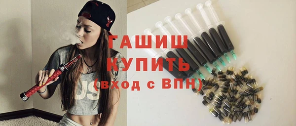 прущий лед Новозыбков