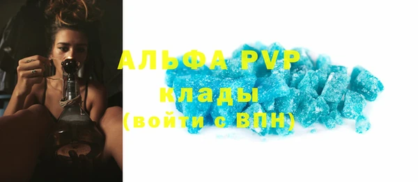 прущий лед Новозыбков