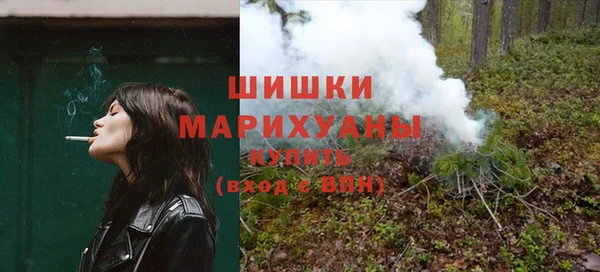 прущий лед Новозыбков