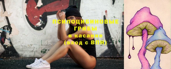 трава Нефтекумск