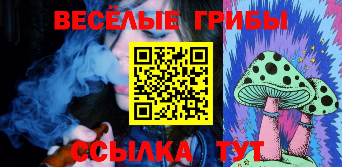 Галлюциногенные грибы MAGIC MUSHROOMS Карпинск